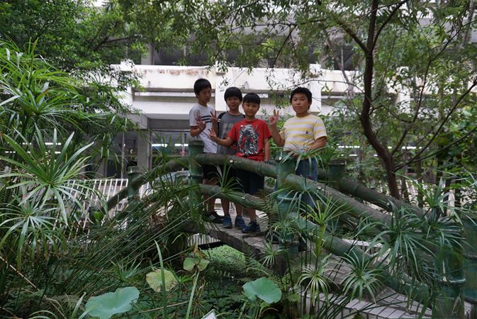 放大圖：