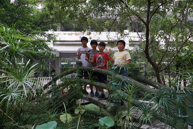 放大圖：