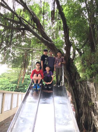 放大圖：
