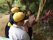 縮圖：