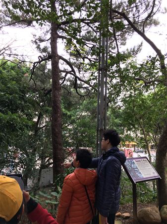 放大圖：