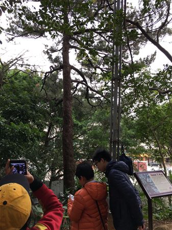 放大圖：