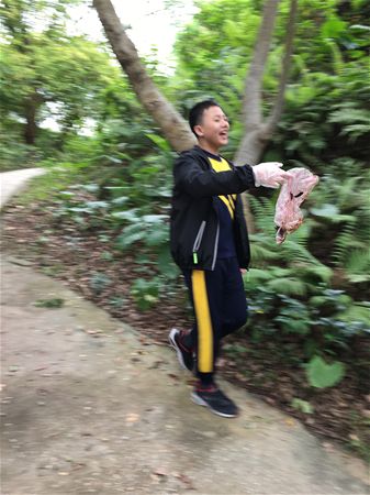 放大圖：