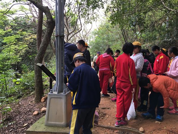 放大圖：