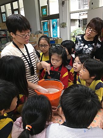 放大圖：