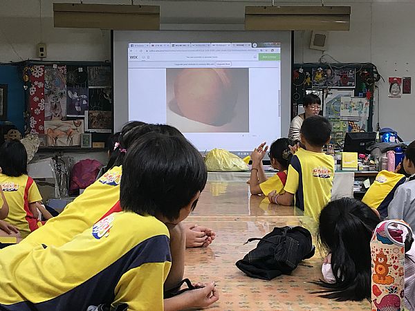 放大圖：