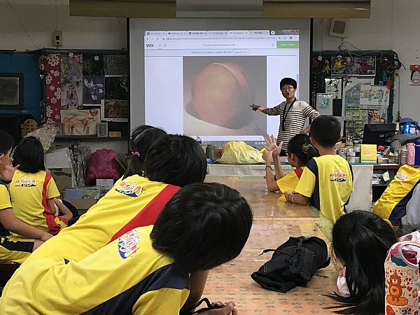 放大圖：