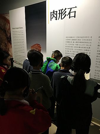 放大圖：
