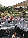 最新相簿圖片縮圖：