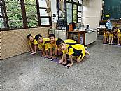 最新相簿圖片縮圖：
