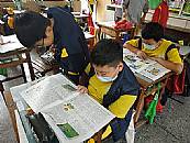 最新相簿圖片縮圖：