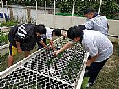 最新相簿圖片縮圖：