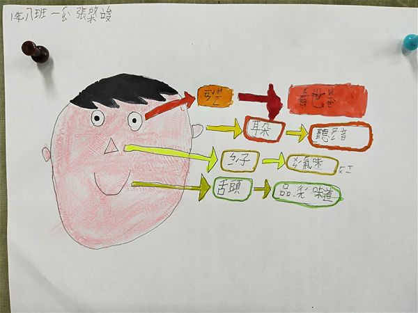 放大圖：