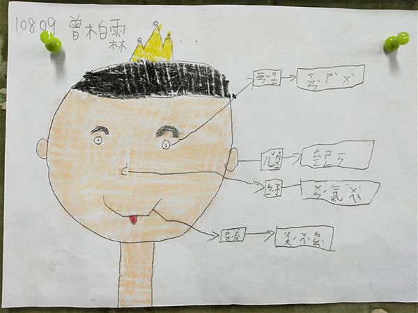 放大圖：