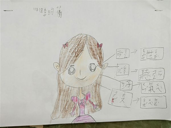 放大圖：