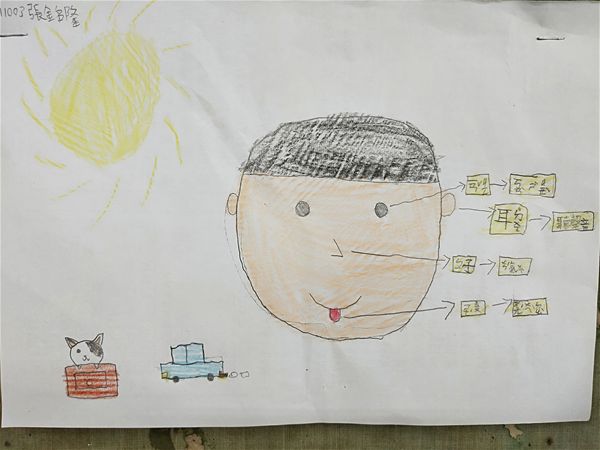 放大圖：