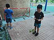縮圖：