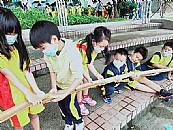 縮圖：