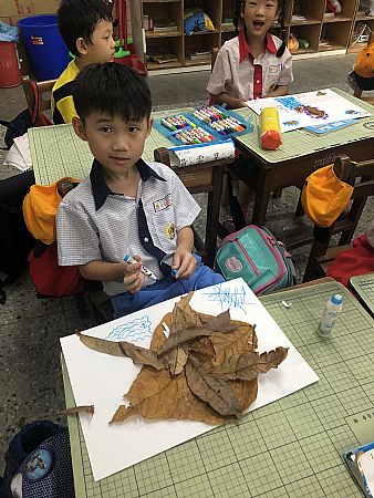 放大圖：
