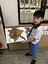 縮圖：