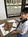縮圖：