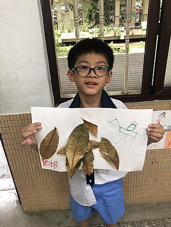 放大圖：