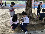 縮圖：
