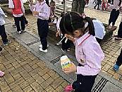 縮圖：