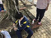 縮圖：