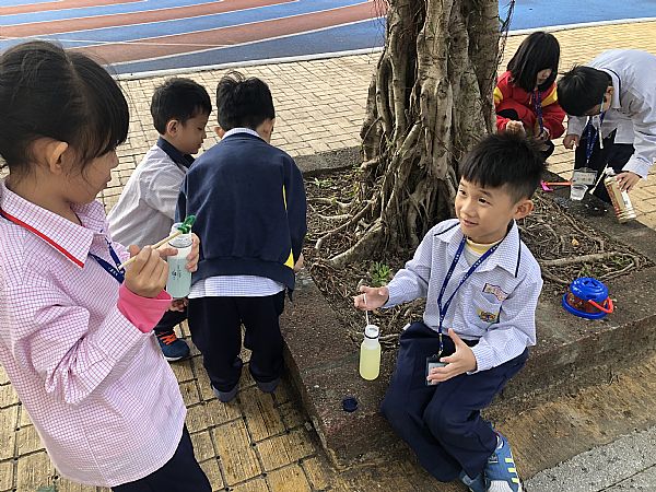 放大圖：