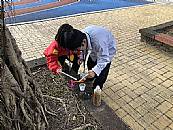縮圖：