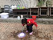 縮圖：