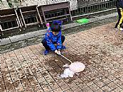 縮圖：