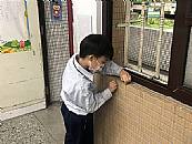 縮圖：