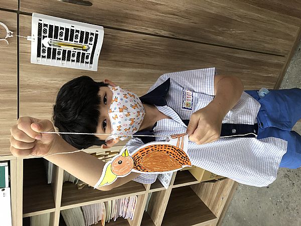 放大圖：