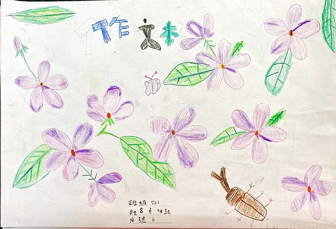 放大圖：