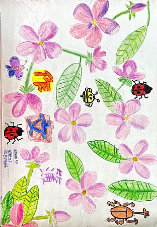 放大圖：