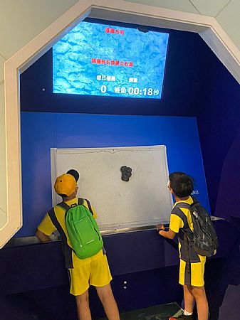 放大圖：