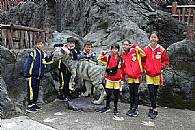 最新相簿圖片縮圖：