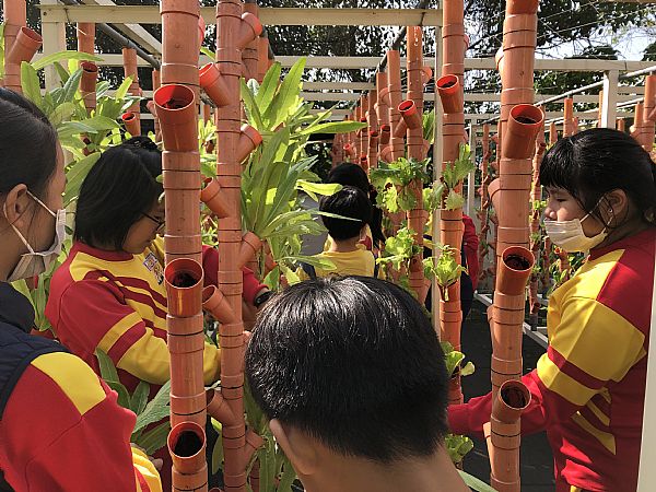 放大圖：