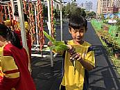 縮圖：