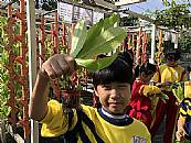 縮圖：