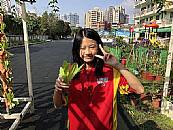 縮圖：