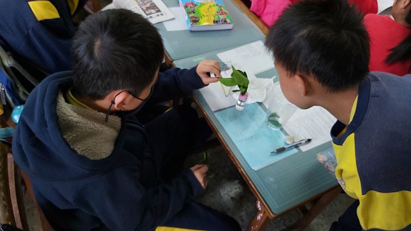 放大圖：