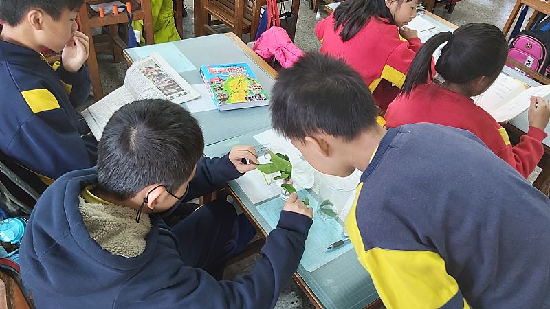 放大圖：