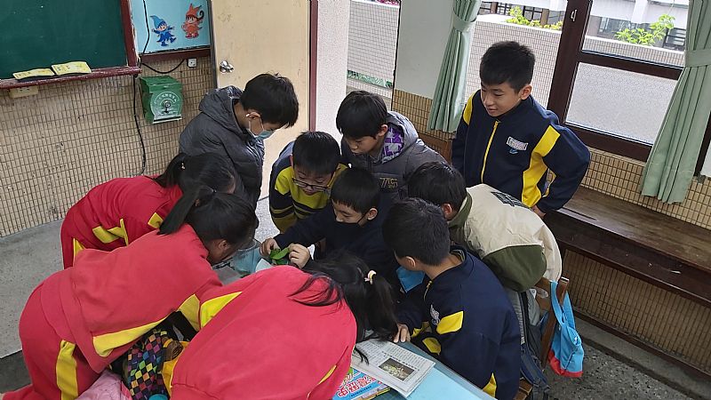 放大圖：