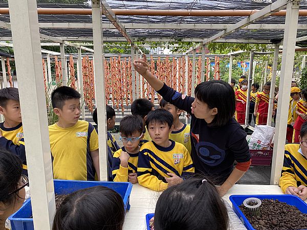 放大圖：