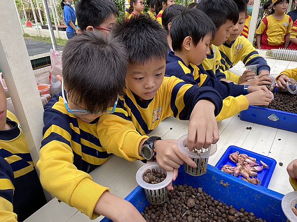 放大圖：