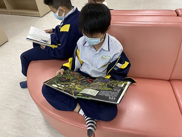 放大圖：