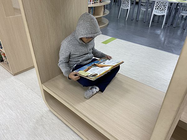 放大圖：